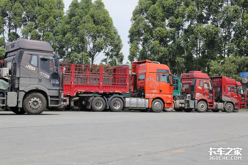 開 大爺車 的越來越多 到底怎么了